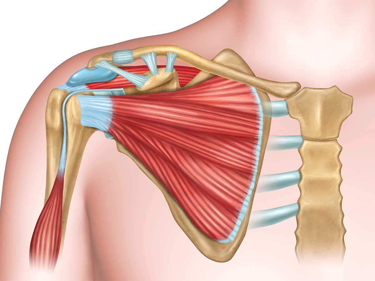 Traitement espace sous-acromial